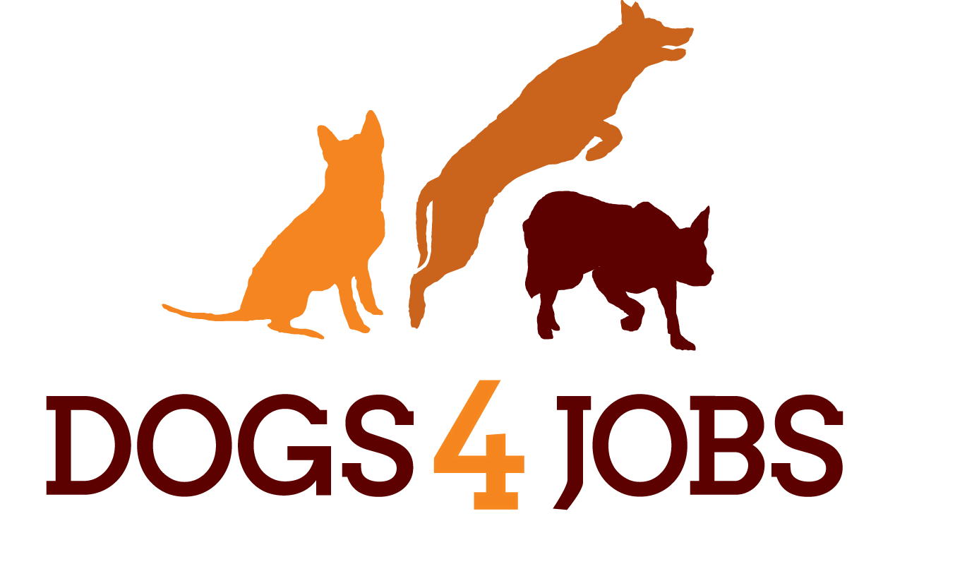 Dogs 4 Jobs