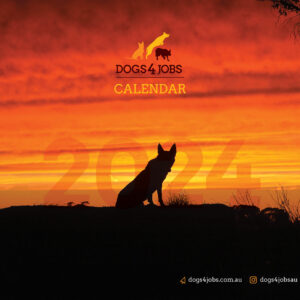 D4J Calendar 2024 Cover