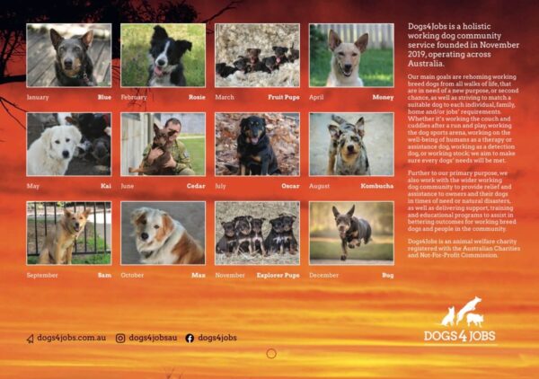 Dogs4Jobs 2024 Calendar (back cover)