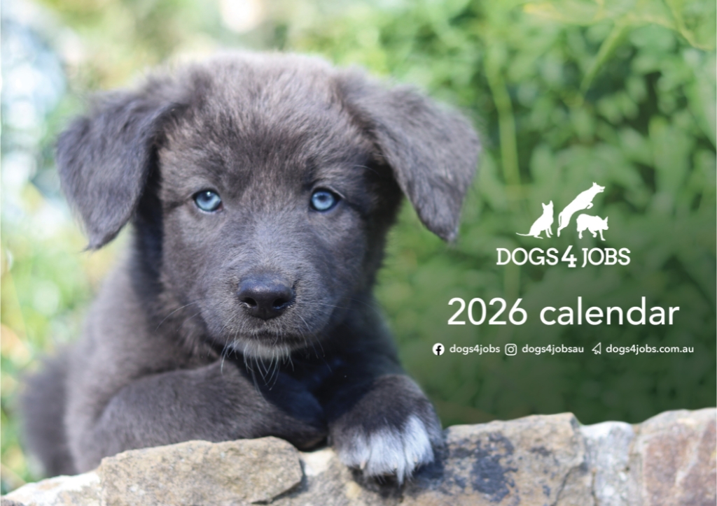 Dogs4Jobs 2026 Front Cover